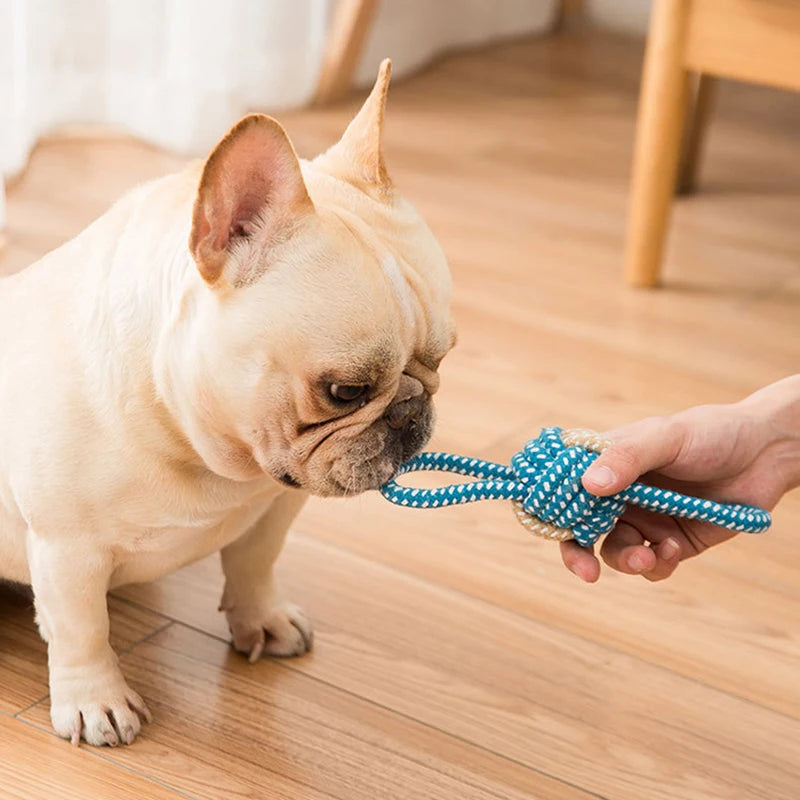 Bola Interativa de Algodão para Cães